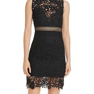 NWT Bardot Black Paris Lace Floral Mini Dress